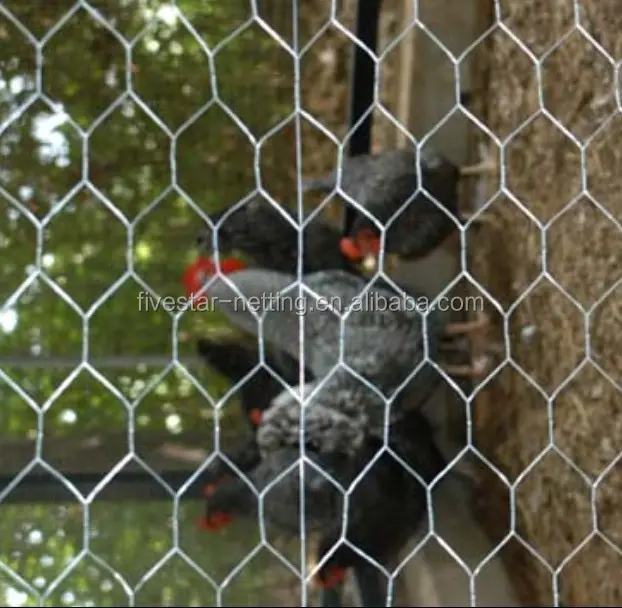 Pollo scherma rete metallica 3/4 pollici esagonale zincato maglia di filo di acciaio