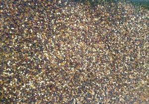 Nuovo Food Grade di Smistamento Macchina Per Cardamomo Colore Soter Macchina Con Ottimo Prezzo