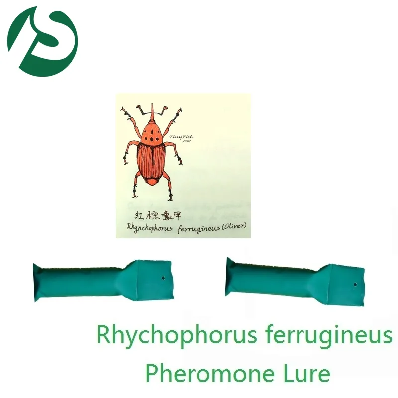 insect attractant for Rhychophorus ferrugineus , insect Pheromone lures for Red palm weevil pest control