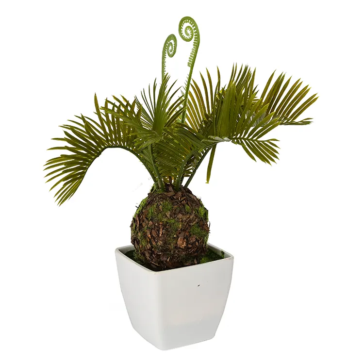 Hot sale artificial sago palms in door home decorations artificial cycas palm tree