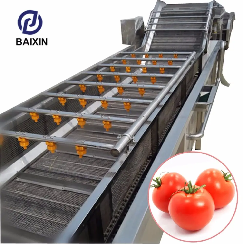 Secador de tomate industrial, limpador de gengibre, girassol, palmeira, apple, data, lavadora de frutas, vegetais, máquina de lavar e secar, venda imperdível