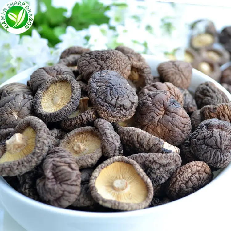 Fleur Shiitake Champignons avec 24 Monfe Notelf Life Cover Sec Cru Comestible Fournisseurs de Champignons Séchés SD Chine Blanc 10 Kg FD