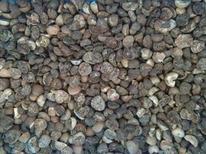 Intelligent CCD Parboiled Rice <strong>Color</strong> Sorter <strong>Machine</strong> China High Quality RGB Plastic <strong>Mineral</strong> Ore Optical <strong>Sorting</strong> <strong>Machine</strong> - Product Image 4