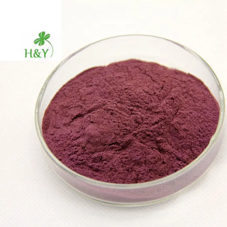 100% ธรรมชาติบริสุทธิ์ Aronia เบอร์รี่20:1 Aronia Chokeberry สารสกัดจาก