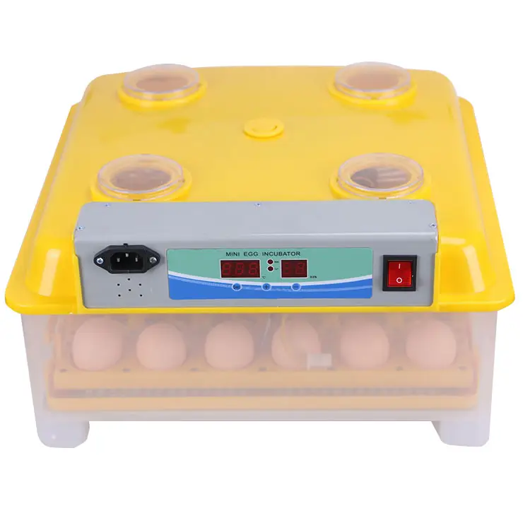 Máquina de incubação incubadora de ovos/pintos de galinha raças