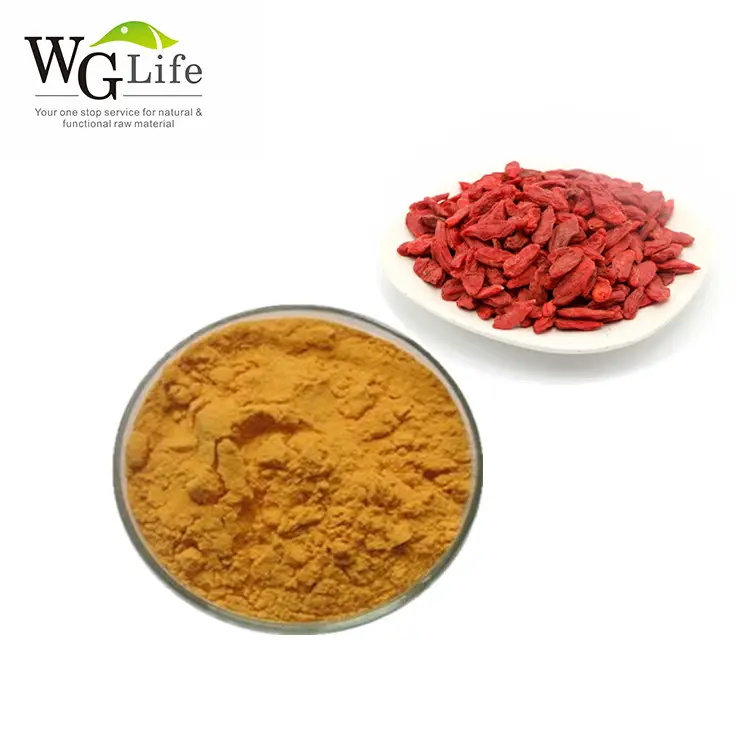 Factory direct supply wolfberry goji berry powder Plant Extract