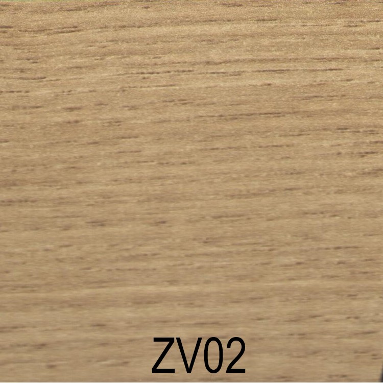 ZV02