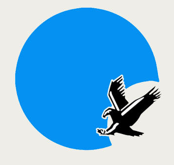 company logo