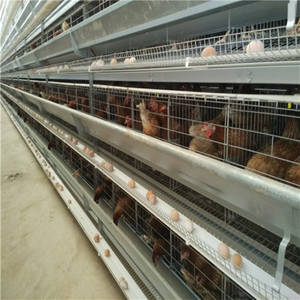 プレハブ卵鶏小屋