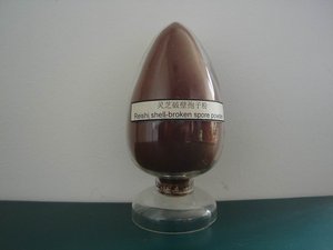 बेहतर पौधों के अर्क Reishi मशरूम पाउडर Ganoderma Lucidum खोल टूट बीजाणु पाउडर - Product Image 6