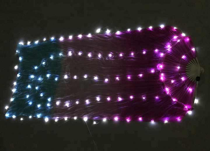 Bestdance Belly Dance Bamboo Silk Fans Veil Festival Cosplay LED Light up Show