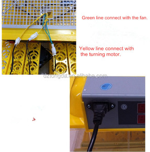 用于孵化鸡蛋的太阳能鸡蛋养殖机器培养箱自动价格印度