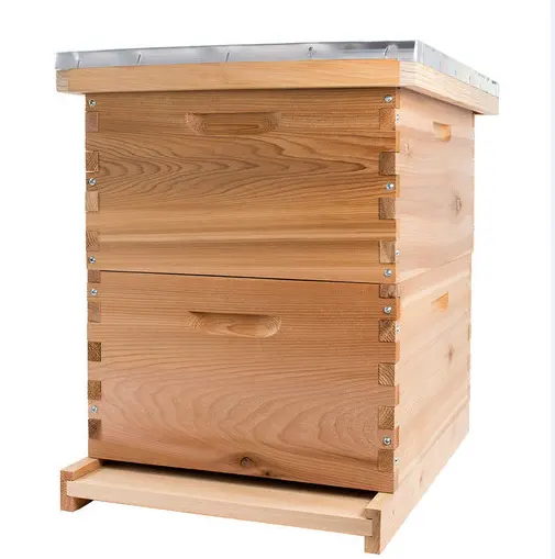 Abeille ruche Langstroth fournisseur approvisionnement apiculture abeille ruche 2 à 5 couches standard 10 Cadres Langstroth ruche de Chine fournisseur
