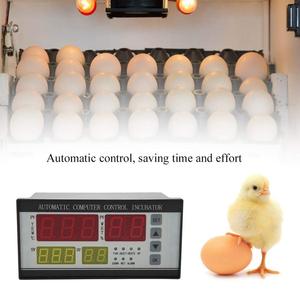 110V Digital <strong>Temperature</strong> Humidity Thermostat <strong>Automatic</strong> XM-18 Incubator <strong>Controller</strong> with OEM and ODM Support - Product Image 3