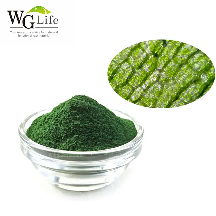 ที่มีคุณภาพสูงเกรดอาหารธรรมชาติสีเขียวคลอโรฟิลล์ผงของเหลวซุปเปอร์คลอโรฟิลล์สารสกัดจากพืช
