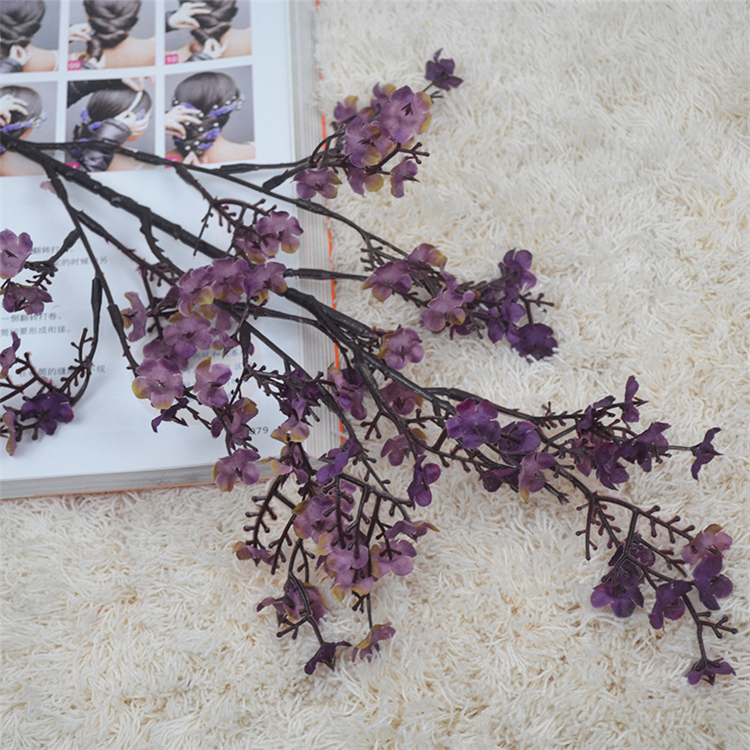 Pourpre