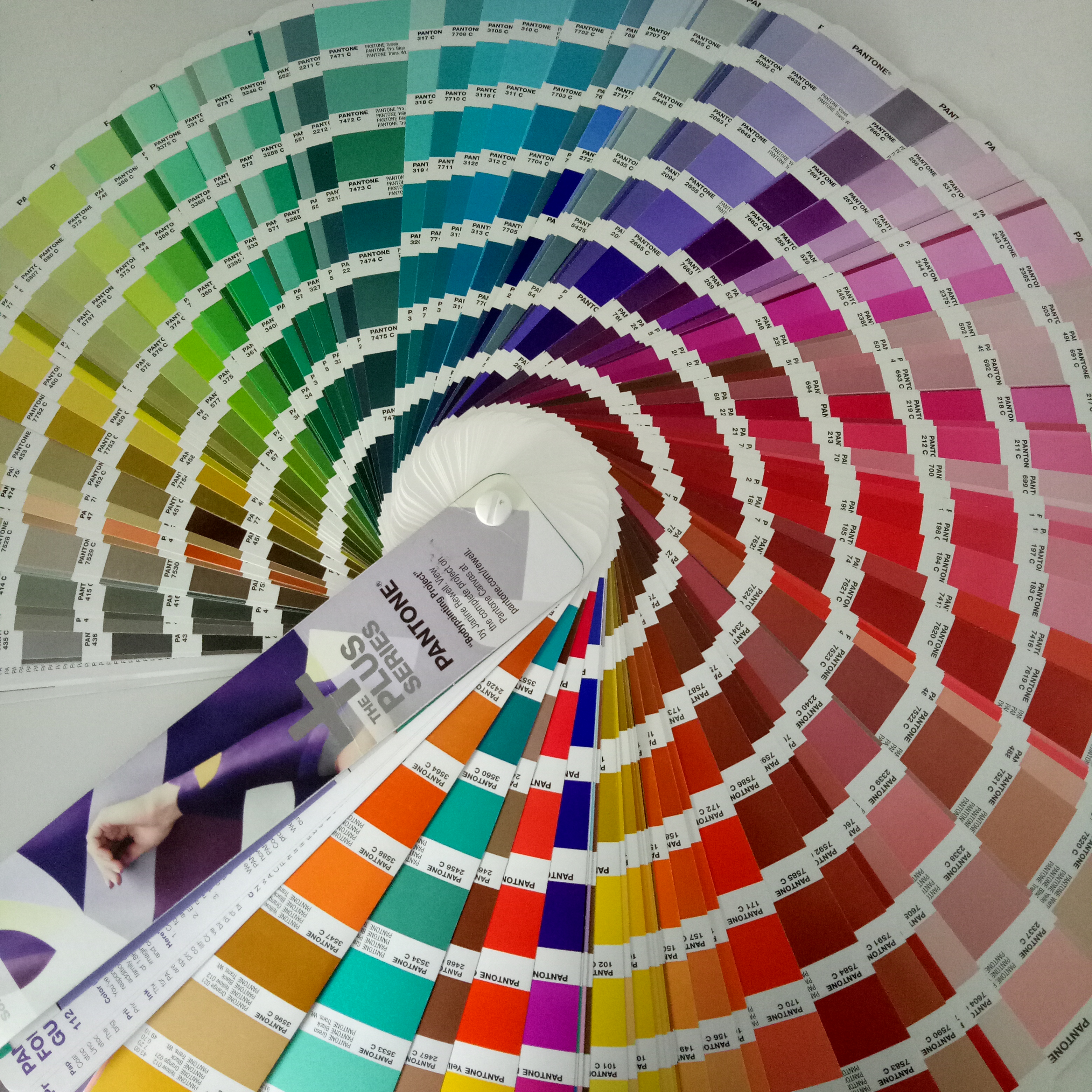 custom color