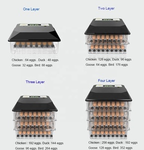 鸡蛋培养箱 110 V 220 V 双电源 12 V
