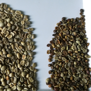 <strong>Cocoa</strong> Coffee <strong>Bean</strong> <strong>Sorting</strong> <strong>Machine</strong> (Hot Sale in Ghana) - Product Image 4