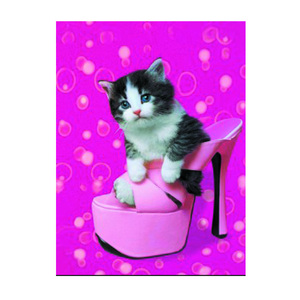 自定义3d猫海报花卉装饰