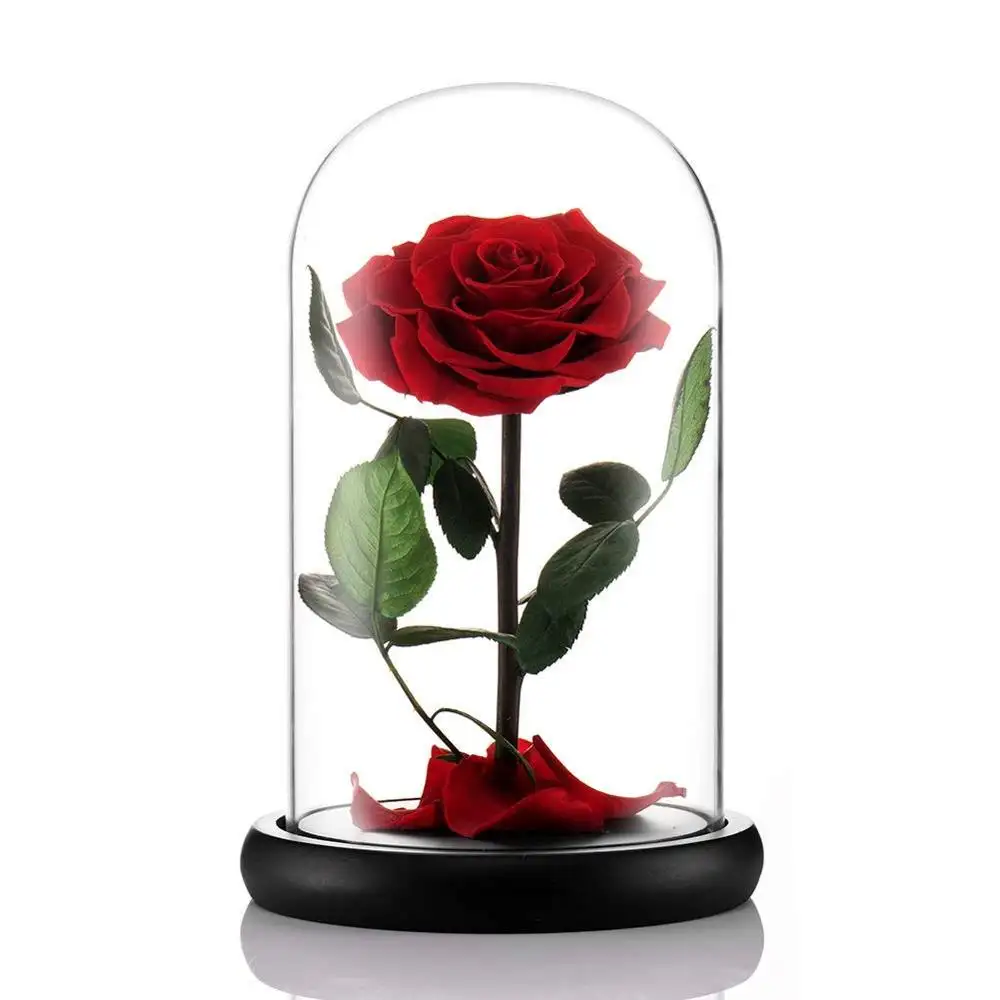 New Hot Selling Products Single Preserved Rose Flower In Glass Dome