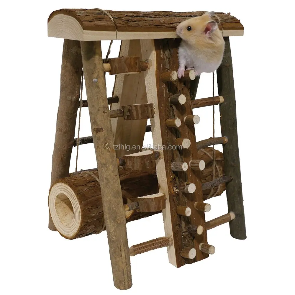 Atividade curso de assalto-hamster & brinquedo de animais pequenos