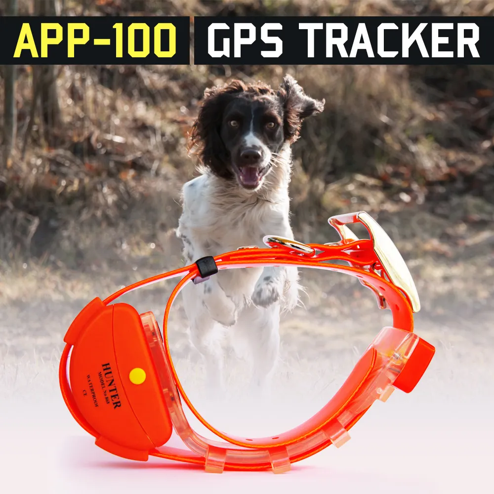 GPS rastreador de mascota COLLAR de perro de caza GPS