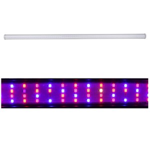 בהירות גבוהה 1.2m 18W T8 משולב צינור <span class=keywords><strong>led</strong></span> לגדול מנורת CE ETL <span class=keywords><strong>SAA</strong></span> אושר אדום כחול צבע T5 או T8 צינור <span class=keywords><strong>led</strong></span> לגדול אור