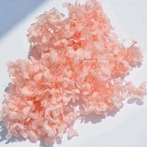 Good Quality Preserved Fresh <strong>Hydrangea</strong> for Weeding Flower - Product Image 1