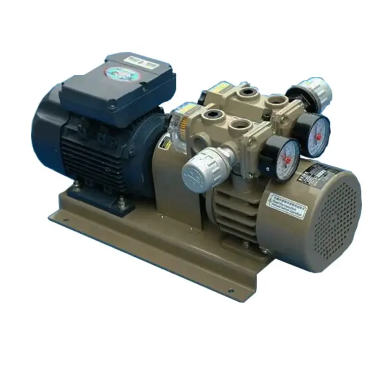 ZBW40-P-VB 건조한 운영하는 진공과 압력에 의하여 결합되는 진공 펌프