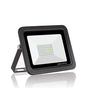 热卖户外安全照明防水 IP65 2400LM 反射器大功率射灯 30w Led 泛光灯 - Product Image 1