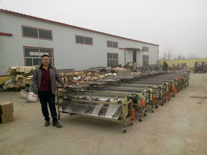 Automatico Data Rosso Classificazione Verdura Piccolo Patate Sorter Frutta Fresca Arancia Ordinamento Dado di Noce di Smistamento Macchina Per La Vendita - Product Image 6