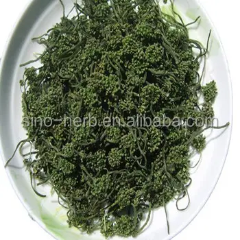 عينة مجانية العشبية شاي أعشاب الصينية Sanqi شاي بالأعشاب المزهرة