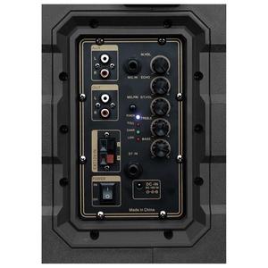 坚固的设计!PT-10A 有源便携式扬声器系统具有清晰和强大的声音 10 “低音扬声器，80 磁铁高音扬声器用于户外