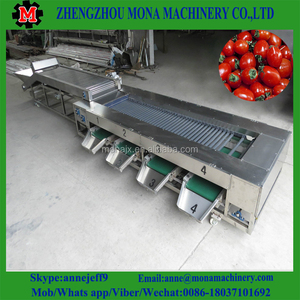 Máquina clasificadora de patatas de tamaño, máquina clasificadora de patatas, máquina clasificadora de limpieza de patatas - Product Image 6