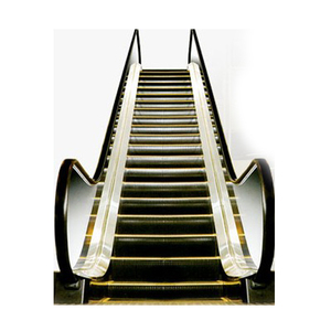 วันสุดท้ายส่วนลดบ้านขนาดเล็กบันไดเลื่อนราคาที่อยู่อาศัยบันไดเลื่อน - Product Image 6