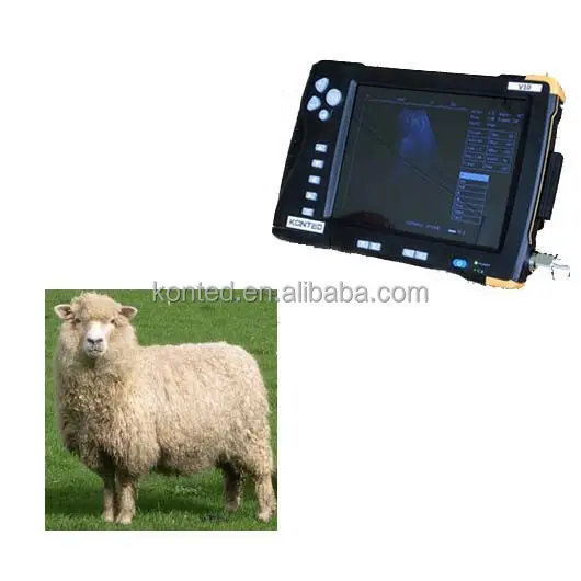 Vevor-Scanner ultrasonique Portable, pour tests de grossesse, vétérinaire, mouton, avec sonde linéaire rectangulaire
