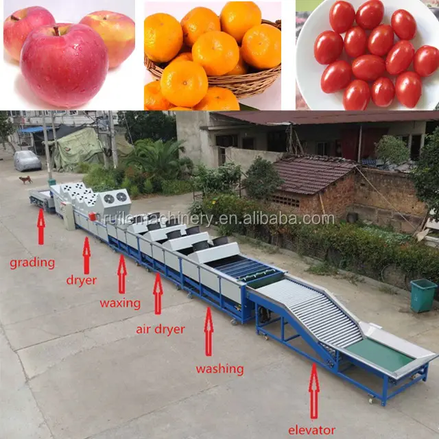 Máquina de lavagem de maçã para vegetais frutas, máquina de secagem