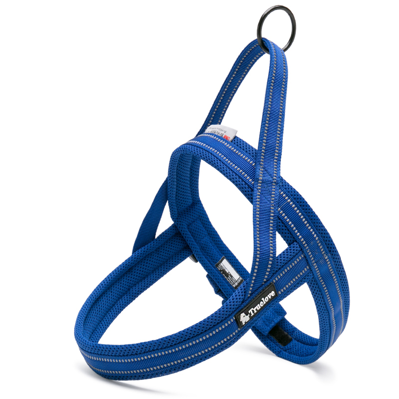 Bleu royal