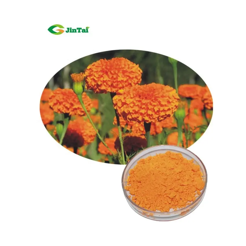 Colorante alimentare estratto di calendula luteina calendula in polvere 5% 10% 20% 50% 80% zeaxantina e luteina