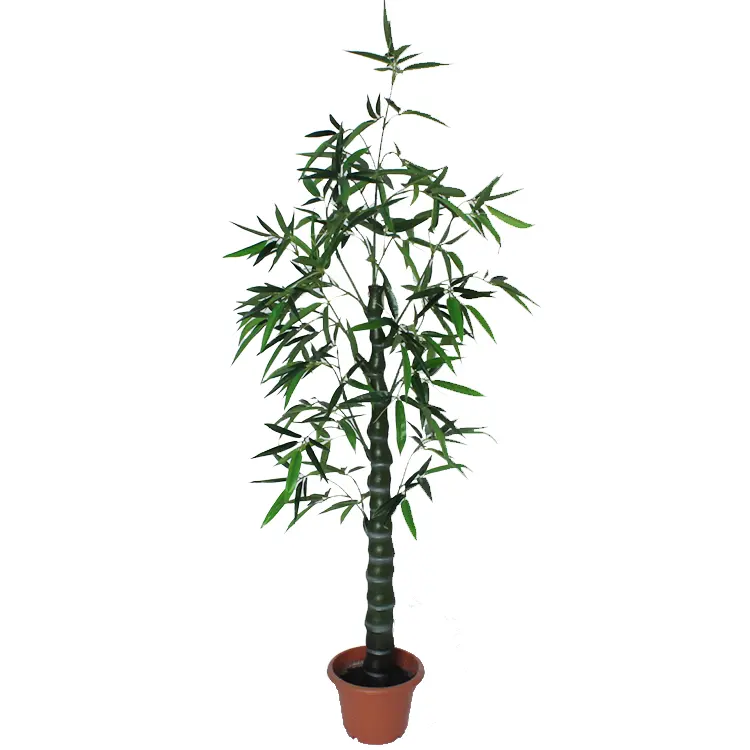 150cm de planta bonsai con una rama 5107