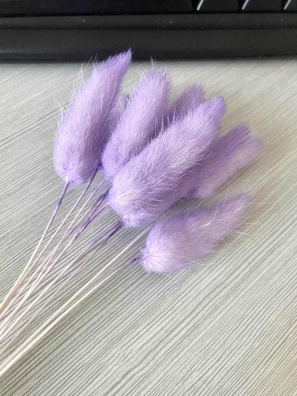 TARO PURPLE