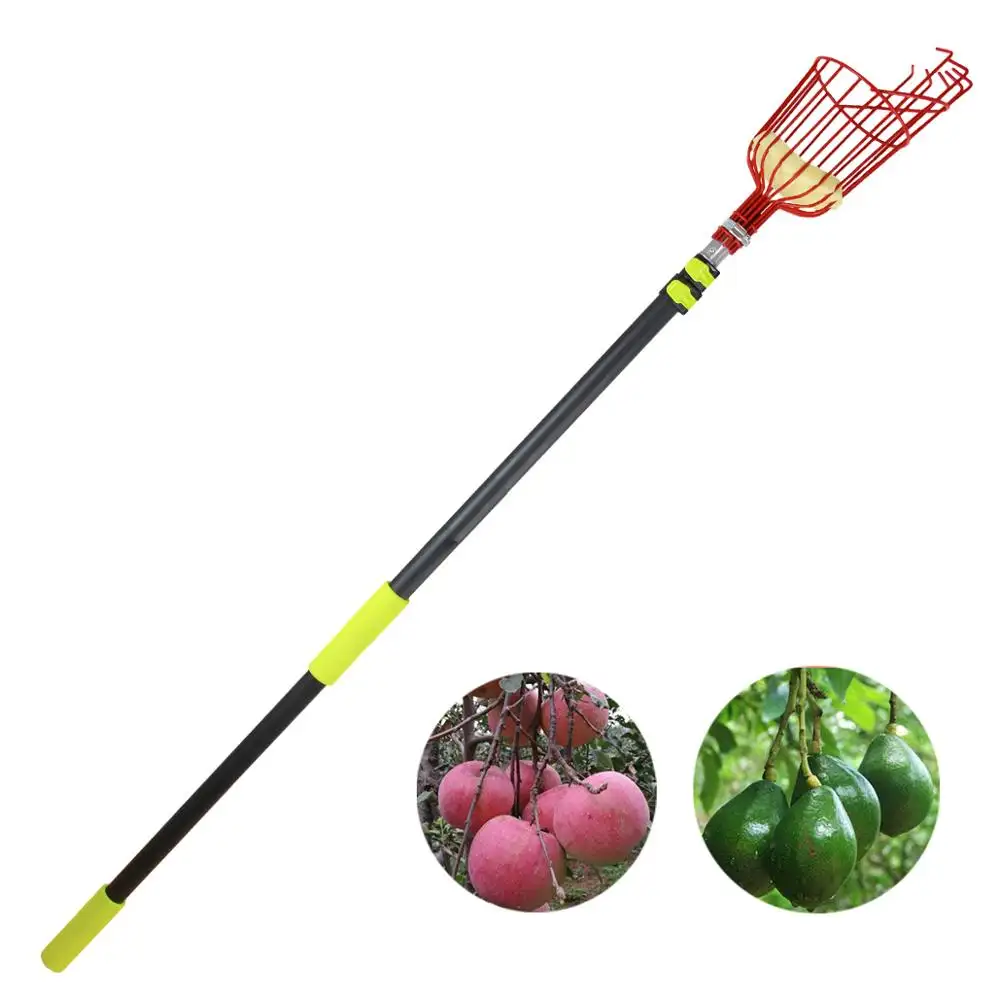 Extentoo-recolector de fruta de aluminio telescópico, herramienta de jardín, 3,6 m, precio en oferta