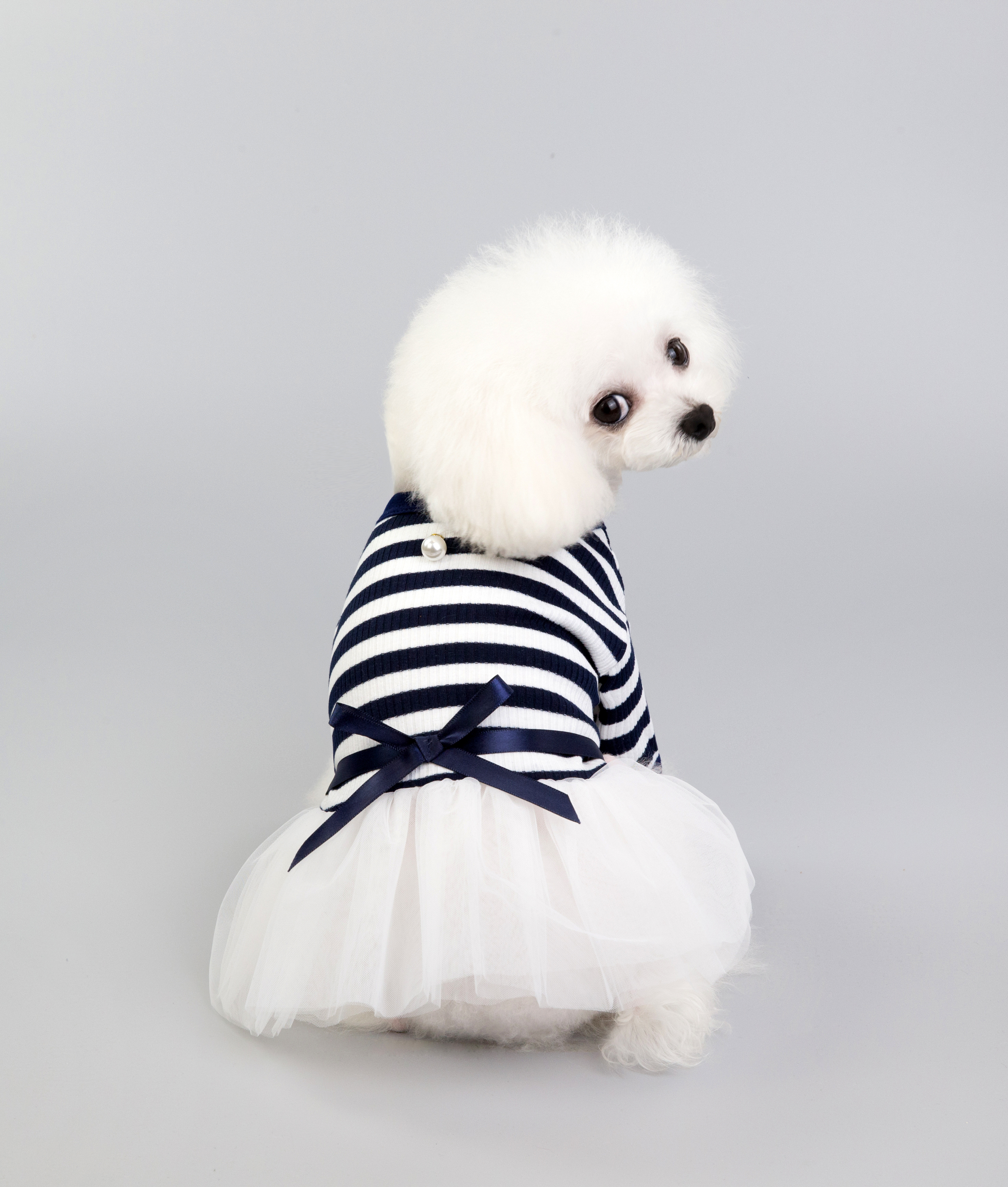 Blue pet dress
