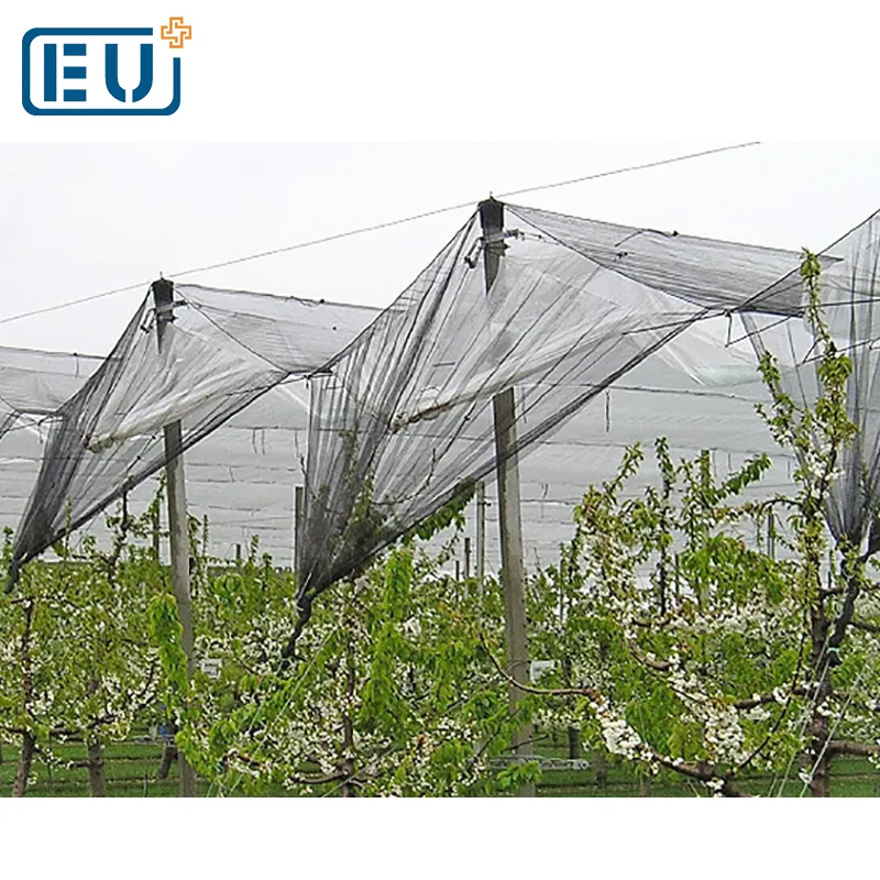 Anti hail mesh / Agriculture anti hail net / hail protection net for nursery fruit trees