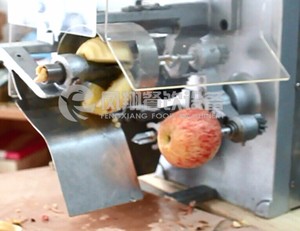 <span class=keywords><strong>FXP</strong></span>-22 otomatik meyve elma soyma ve coring makinesi elma ayırma makinesi