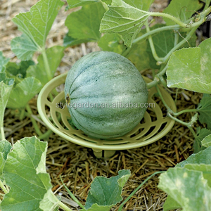 2021 Hot Garten Jardin Garden Pumpkins Watermelon <strong>Melon</strong> and Squash Growing Support <strong>Cradles</strong> Holder Stand
