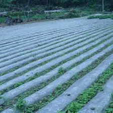 Plastic Agriculture Film Agricultural Plastic Mulch Film