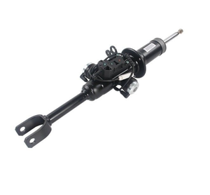 Ön sağ yağ basıncı amortisör elektrikli kontrolü BMW için F01 F02 F07 740i 750i 09-13 - Product Image 1