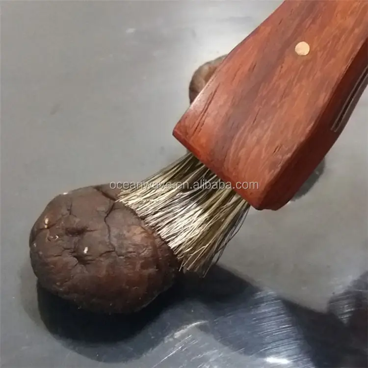 Diseño más reciente cepillo mango de madera de acero inoxidable hoja de cuchillo de hongo